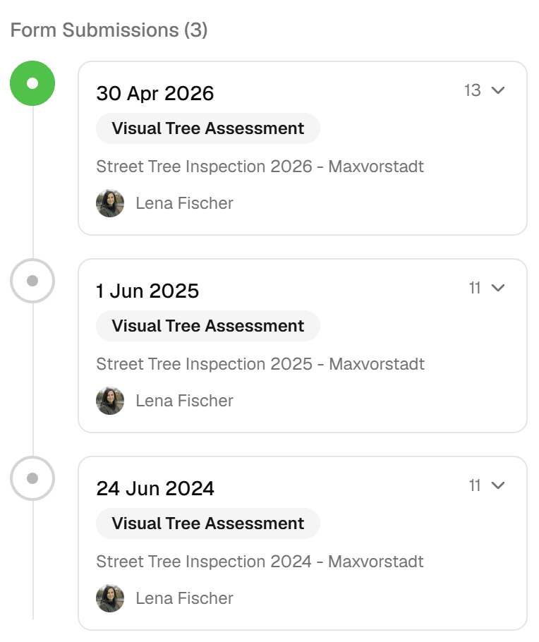 The inspection record of one street tree: three annual rounds from 2024 to 2026, each with the form used, the inspector and the date