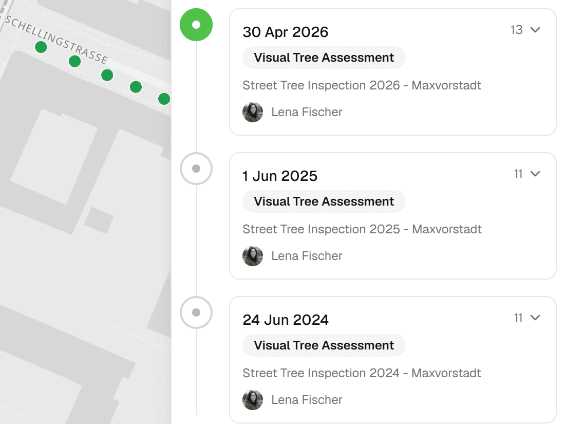 Submission timeline of one street tree with three annual inspection rounds from 2024 to 2026, each recorded with inspector and date