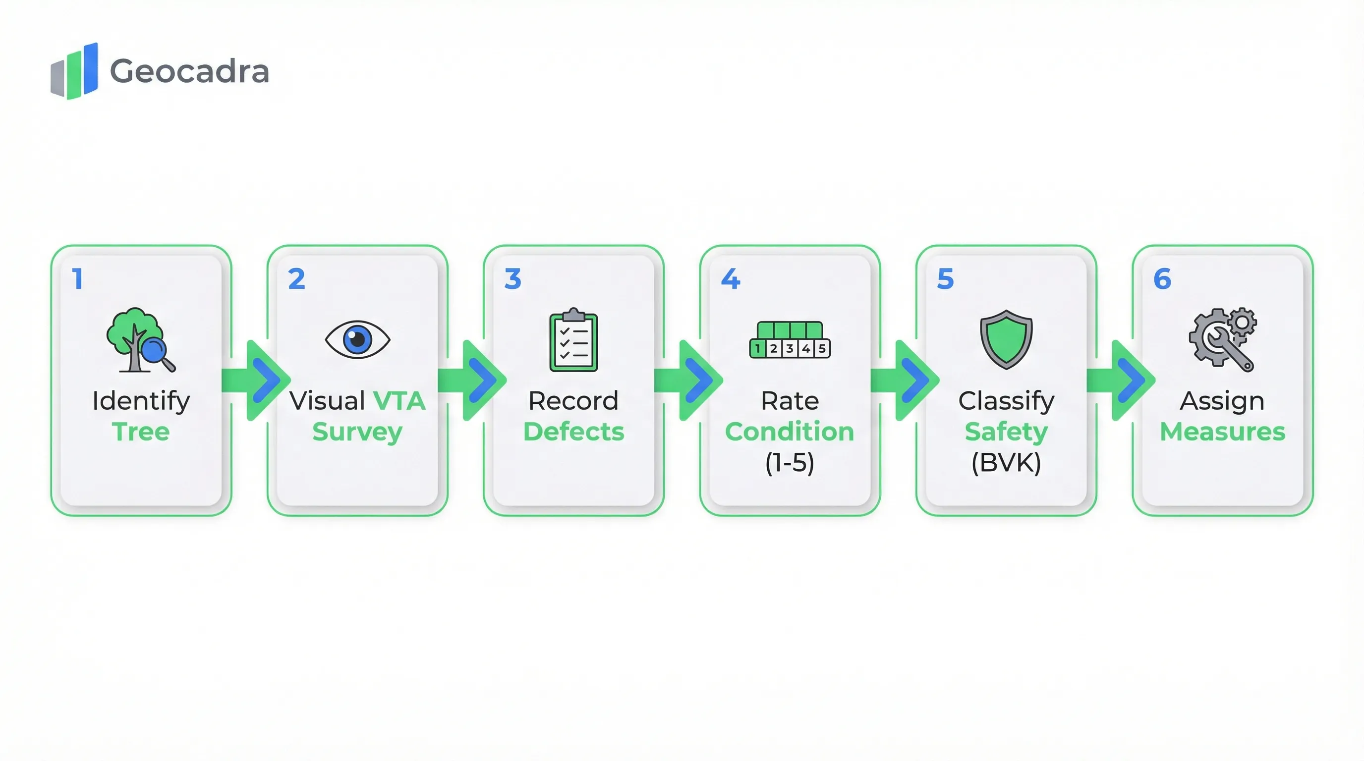 BVC tree safety inspection process: Identify Tree, Visual VTA Survey, Record Defects, Rate Condition (1-5), Classify Safety (BVK), Assign Measures